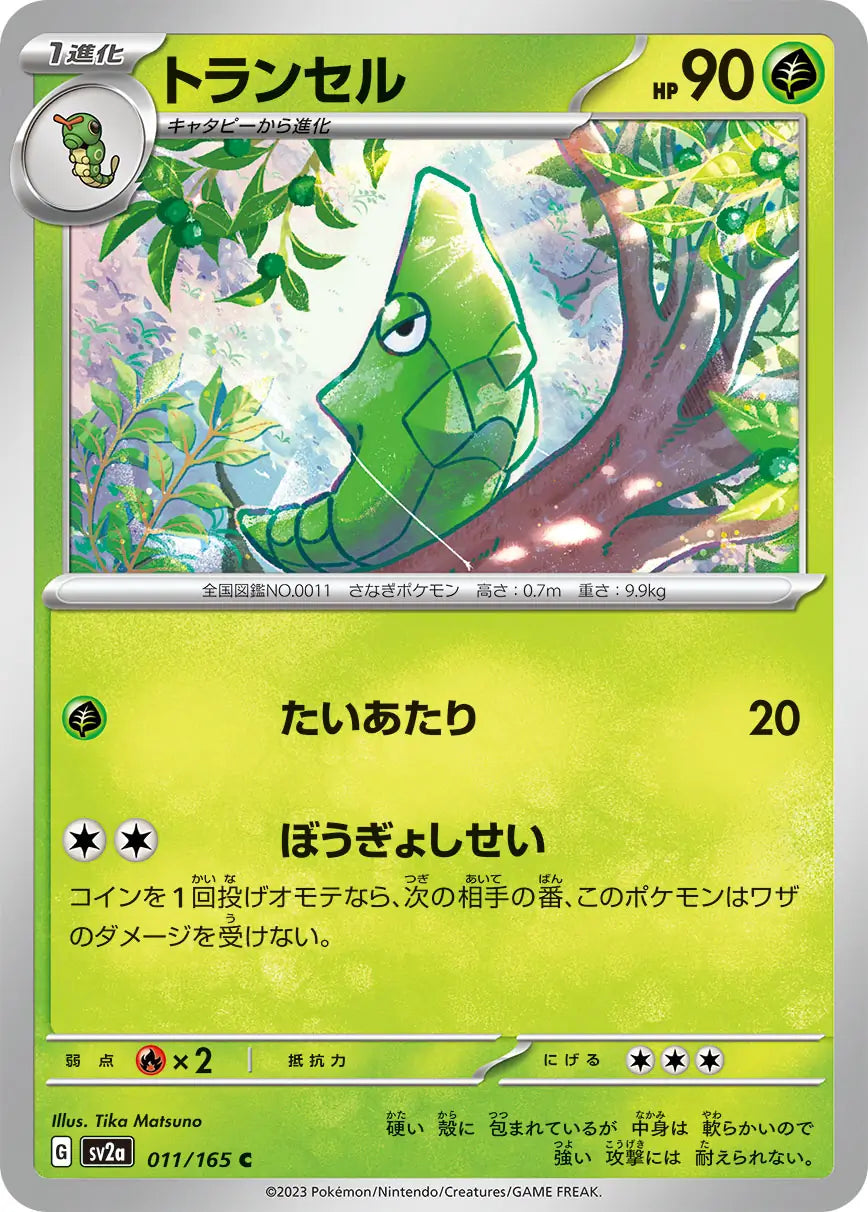 Metapod 151