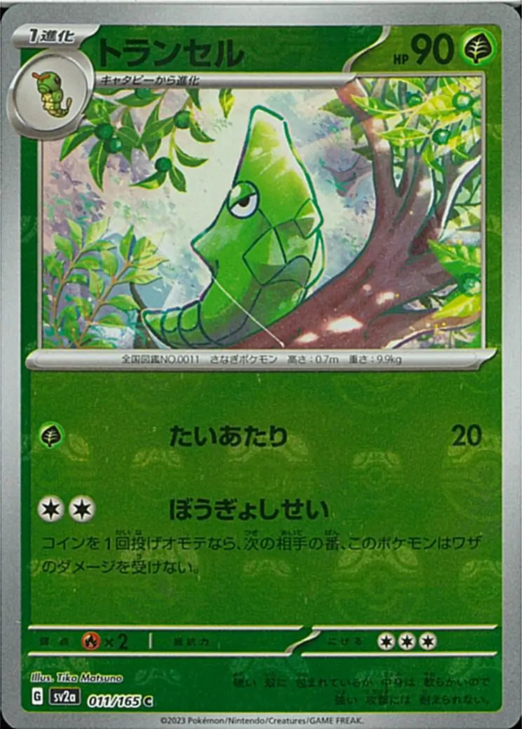 Metapod 151