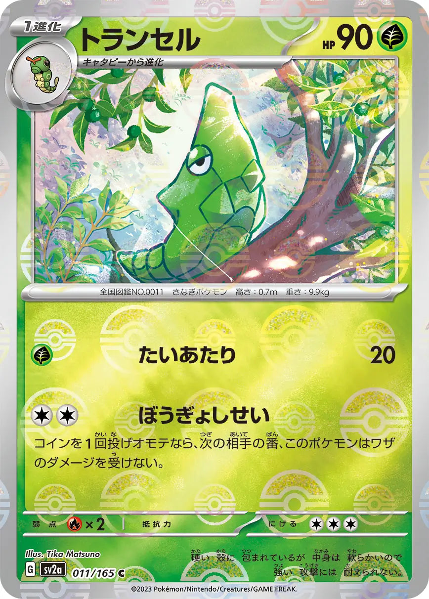 Metapod 151