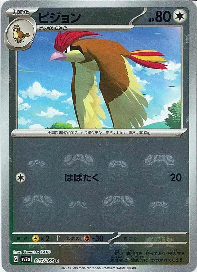 Pidgeotto 151