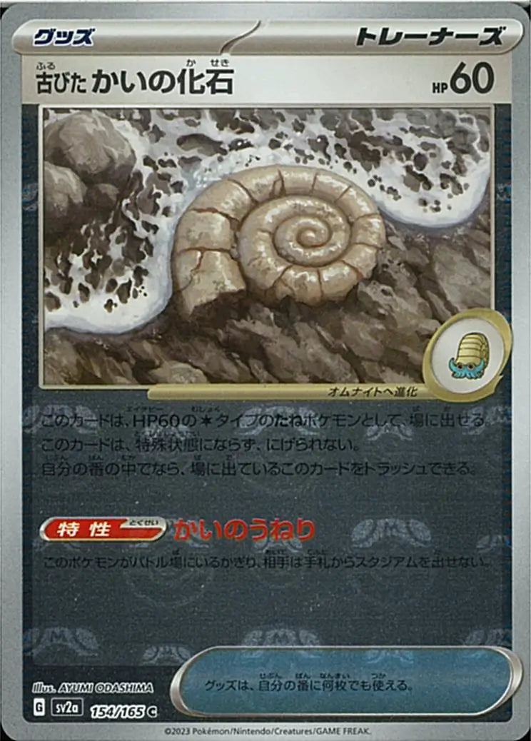 Antique Helix Fossil 151