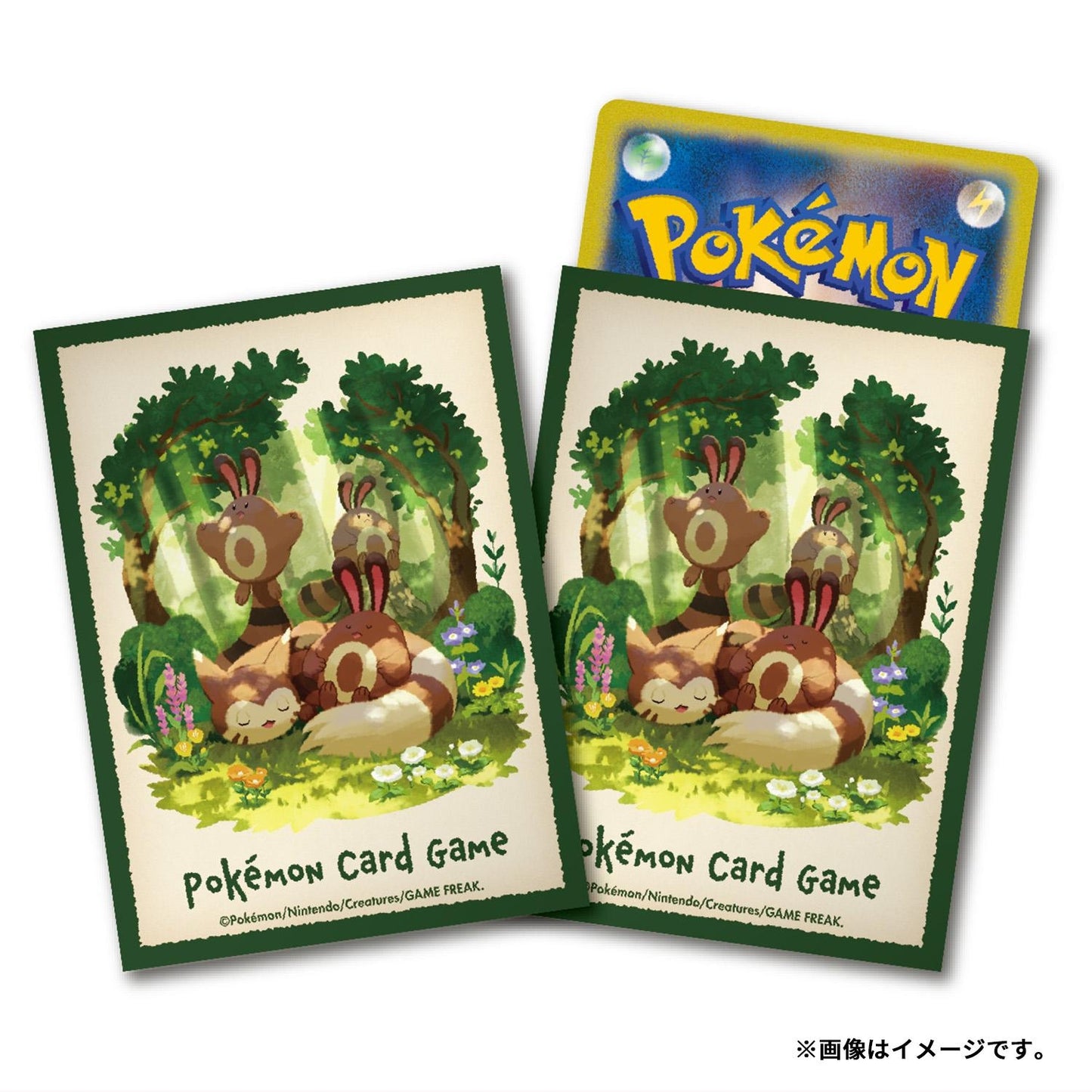 Protectores Furret Durmiendo Pokemon Center