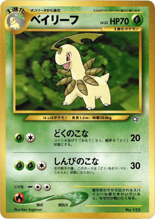 Bayleef Premium File Promo LP