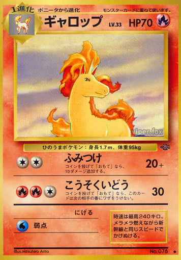 Rapidash Jungle LP