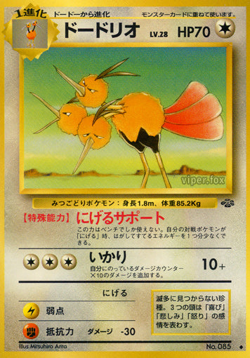 Dodrio Jungle LP
