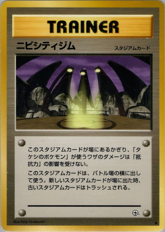 Pewter City Gym Leaders' Stadium LP