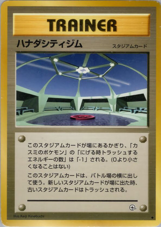 Cerulean City Gym Leaders' Stadium LP