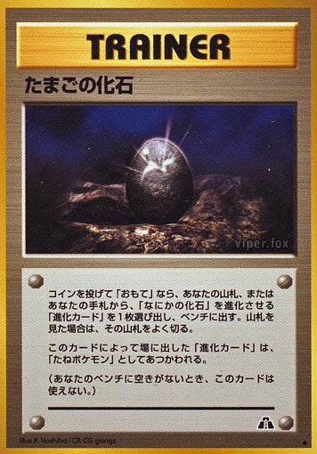 Fossil Egg Neo Crossing the Ruins LP