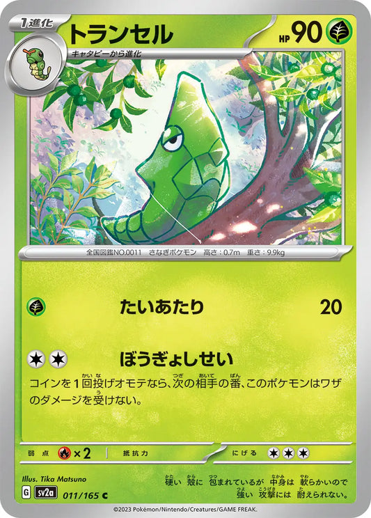Metapod 151