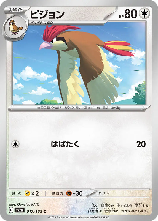 Pidgeotto 151
