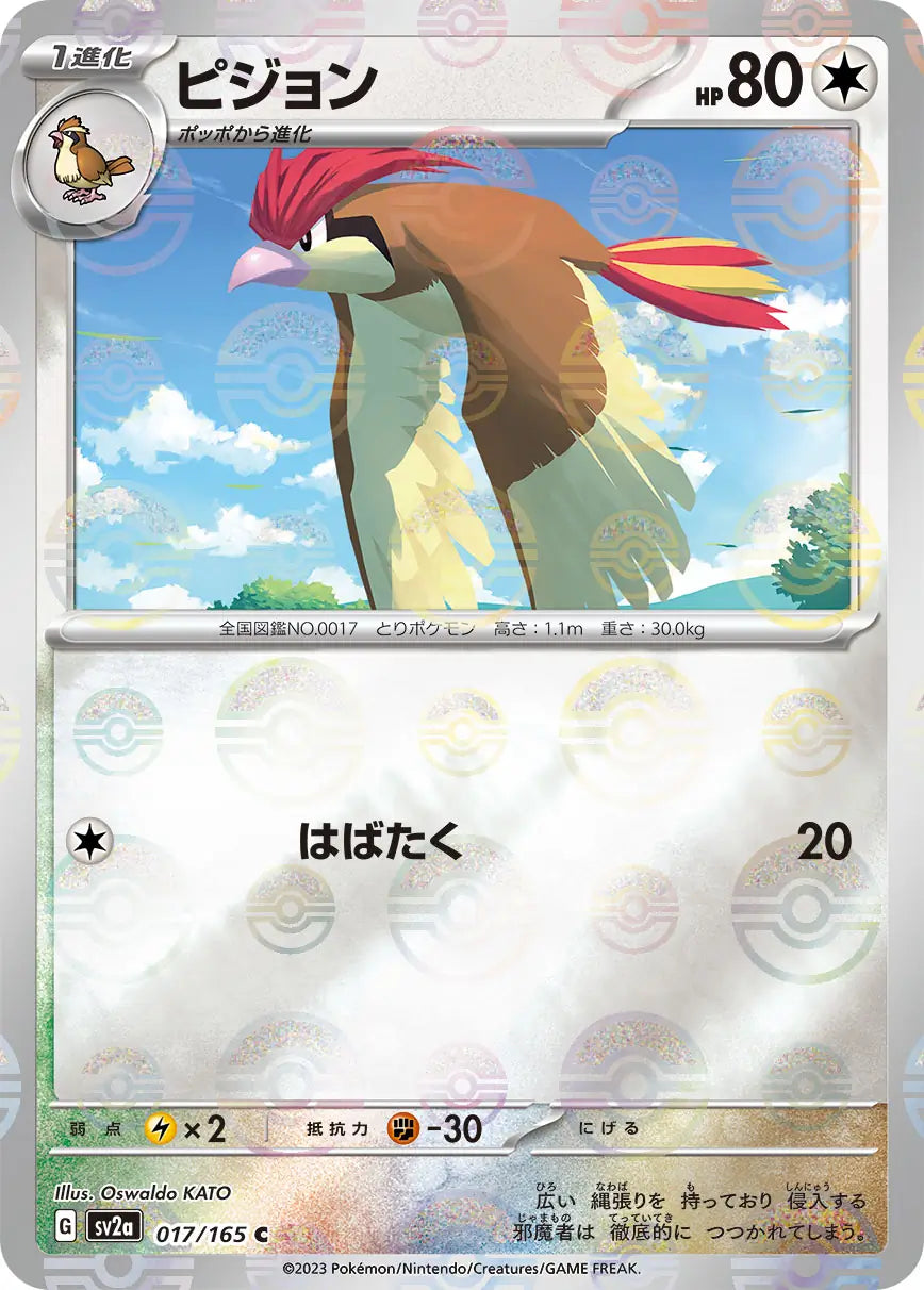 Pidgeotto 151