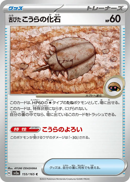 Antique Dome Fossil 151