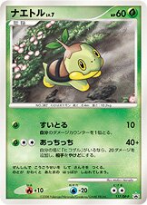 Turtwig - 117/DP-P - Promo - DMG